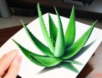 自己家中的芦荟怎么用