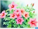 夏天种什么花开花最快