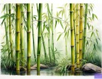 黄金碧玉竹的养殖方法