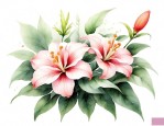 桂花牵牛花芙蓉花百合花是一个季节开的吗