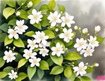 2025年茉莉花应该怎么种