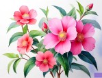 哪种花吸甲醛效果最好