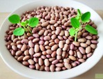 芸豆种子怎样泡种催芽