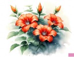 凌霄花怎样养