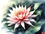 昙花咋样繁殖