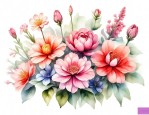 二月什么花三月什么花六月什么花九月什么花