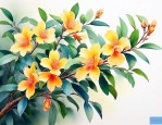 金枝玉叶适合什么季节养
