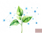 植物可以吸收氧气释放出二氧化碳气体对不对