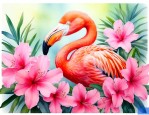 火烈鸟杜鹃花的养殖方法