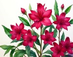 洛神花哪五种人不能喝