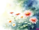 未闻花名安城
