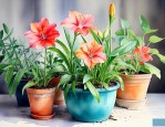 室内养殖的花草有哪些