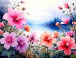 24小时有哪些花开放