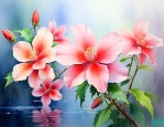 花语是自由的花是什么