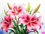 怎样养百合花才能养好