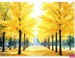 10公分的银杏多少钱