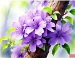 树上紫色的花是什么花