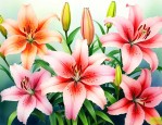 百合花茹志鹃艺术特色