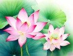 荷花靠什么传播种子的