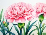 康乃馨花如何剪枝水养