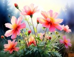 什么花在下午六点开放