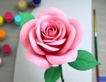 如何用海棉纸折玫瑰花