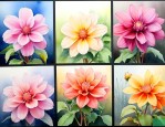 一年四季开花是什么花