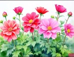 7月份适合种植什么花