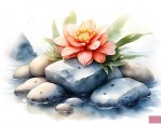 海石花什么味