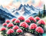 高山杜鹃花语