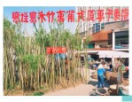 合肥毛竹批发市场在哪