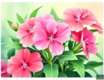 赞美凤仙花的现代诗歌