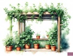 棚架绿化植物