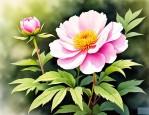 2025年跟芍药花近似的花