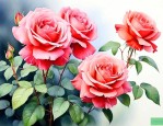 什么时候种月季花最好