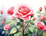 插月季花的时间和方法