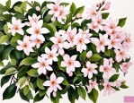 2025年九里香花什么样子