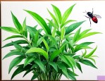什么绿植驱蚊虫最好用