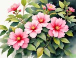 2025年檀花的花语和传说