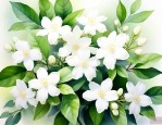 怎样留住茉莉花的香味