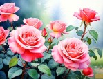 月季花开花的时间是几点