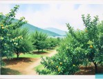 绿宇果树花卉研究中心