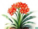 一般君子兰养几年开花