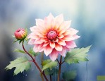什么花的花语是隐晦的爱