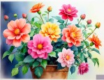 家里能养什么好看的花