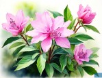 七叶一枝花七叶一枝花