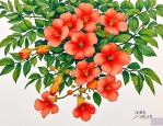 2025年不做攀缘的凌霄花