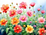 什么花适合一年四季养