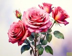 四玫瑰花代表什么意思