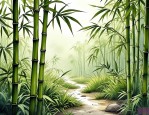 2025年竹子属于花还是草